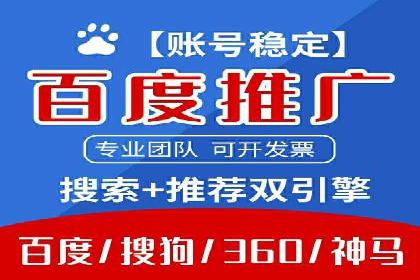 网络推广与竞价优化成功案例