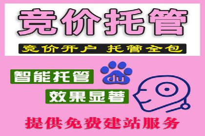 案例展示：SEM推广助力品牌知名度提升